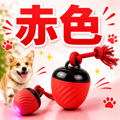 スマートローリングペットボール 夢中で遊ぶ！